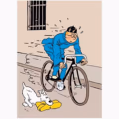 Blue Lotus Bicycle Plastic Sleeve