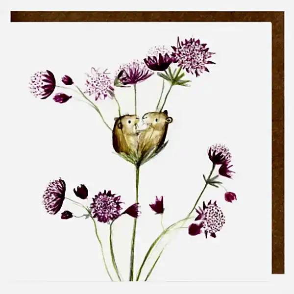 Gertie And Olivia Card By Catherine Rayner