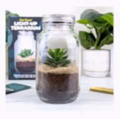 Light-Up Terrarium Solar Powered