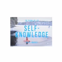 Self-Knowledge in 40 Images Book