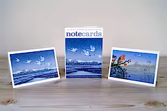Niki Bowers Snow Flight Pack of 10 Notecards