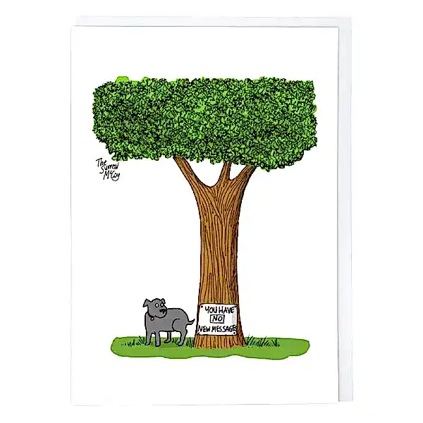 No New Messages Card