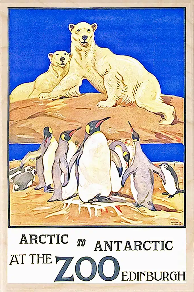 Edinburgh Zoo Wooden Postcard