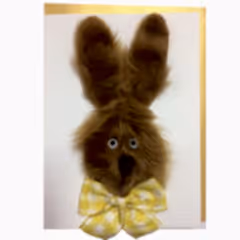 Fluffy Easter Bunny Card