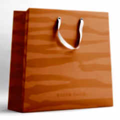 Paper Tiger Orange Stripe Gift Bag