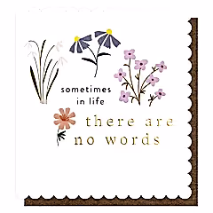 Sometimes In Life There Are No Words Card