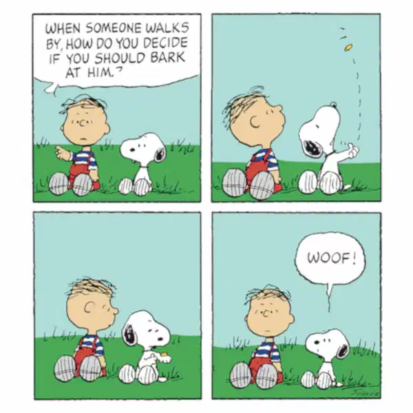 Coin Flip Snoopy Card