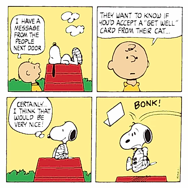 Get Well Card From The Cat Snoopy Card