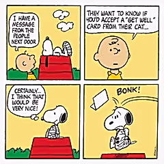 Get Well Card From The Cat Snoopy Card