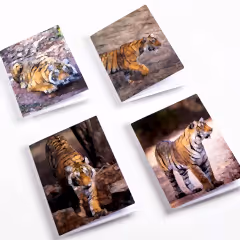 Paper Tiger SAVE THE TIGER 4PK Cards