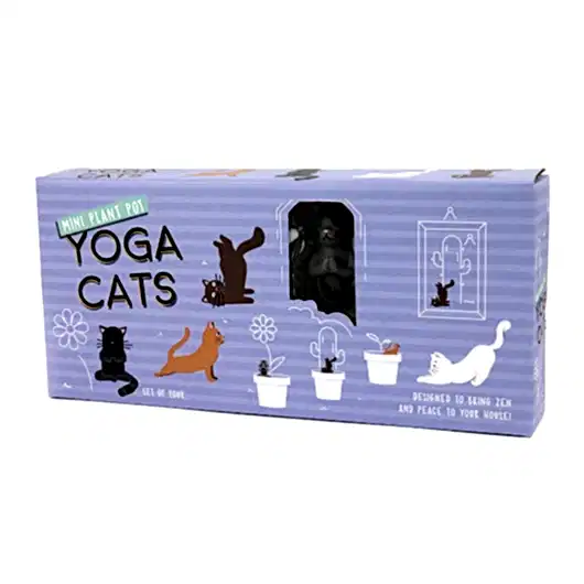 Mini Plant Pots Yoga Cats