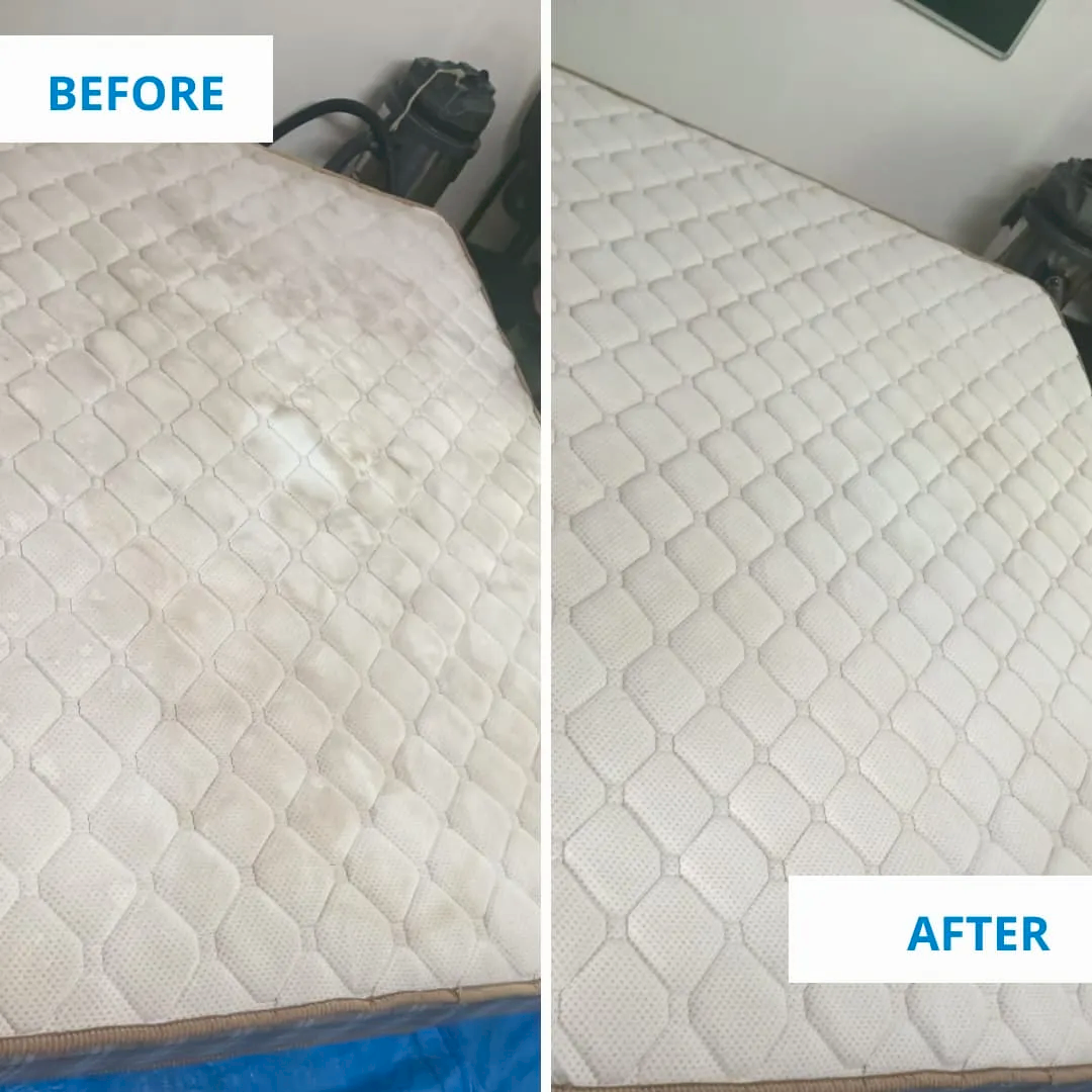 Clean Fanatics - Book Professional Cleaning Services Bangalore Professional Cleaning Services Mattress cleaning before and after by Clean Fanatics