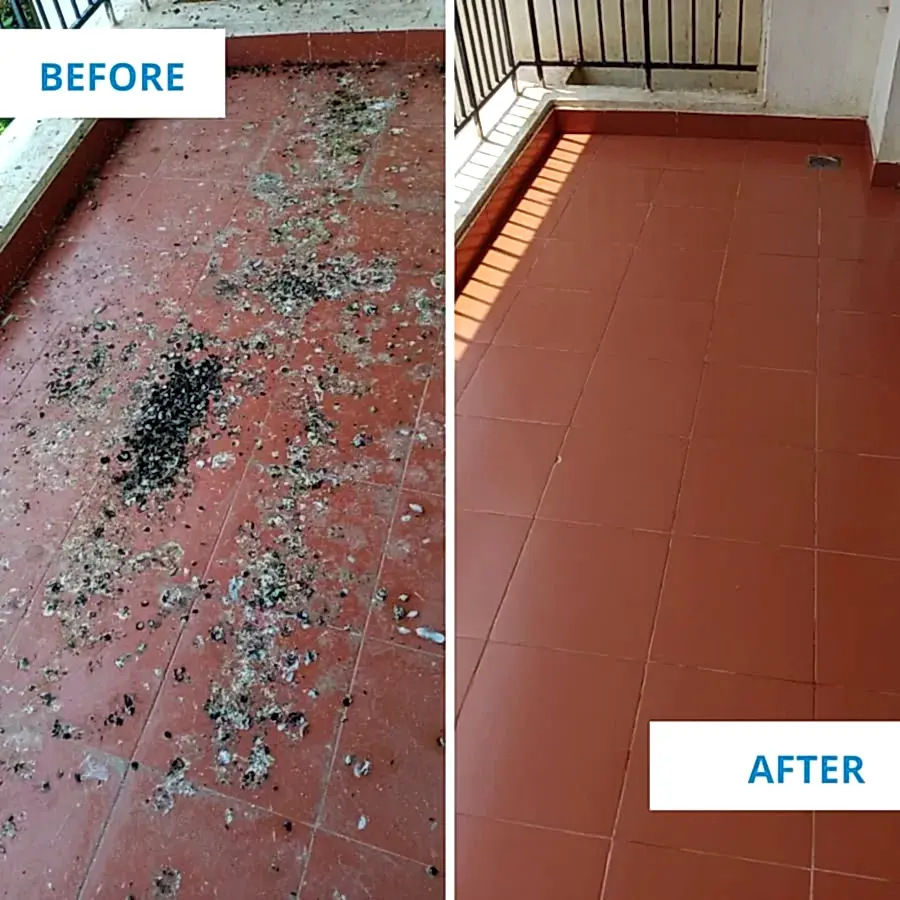 Clean Fanatics - Book Professional Cleaning Services Bangalore Professional Cleaning Services Balcony cleaning service before and after by Clean Fanatics