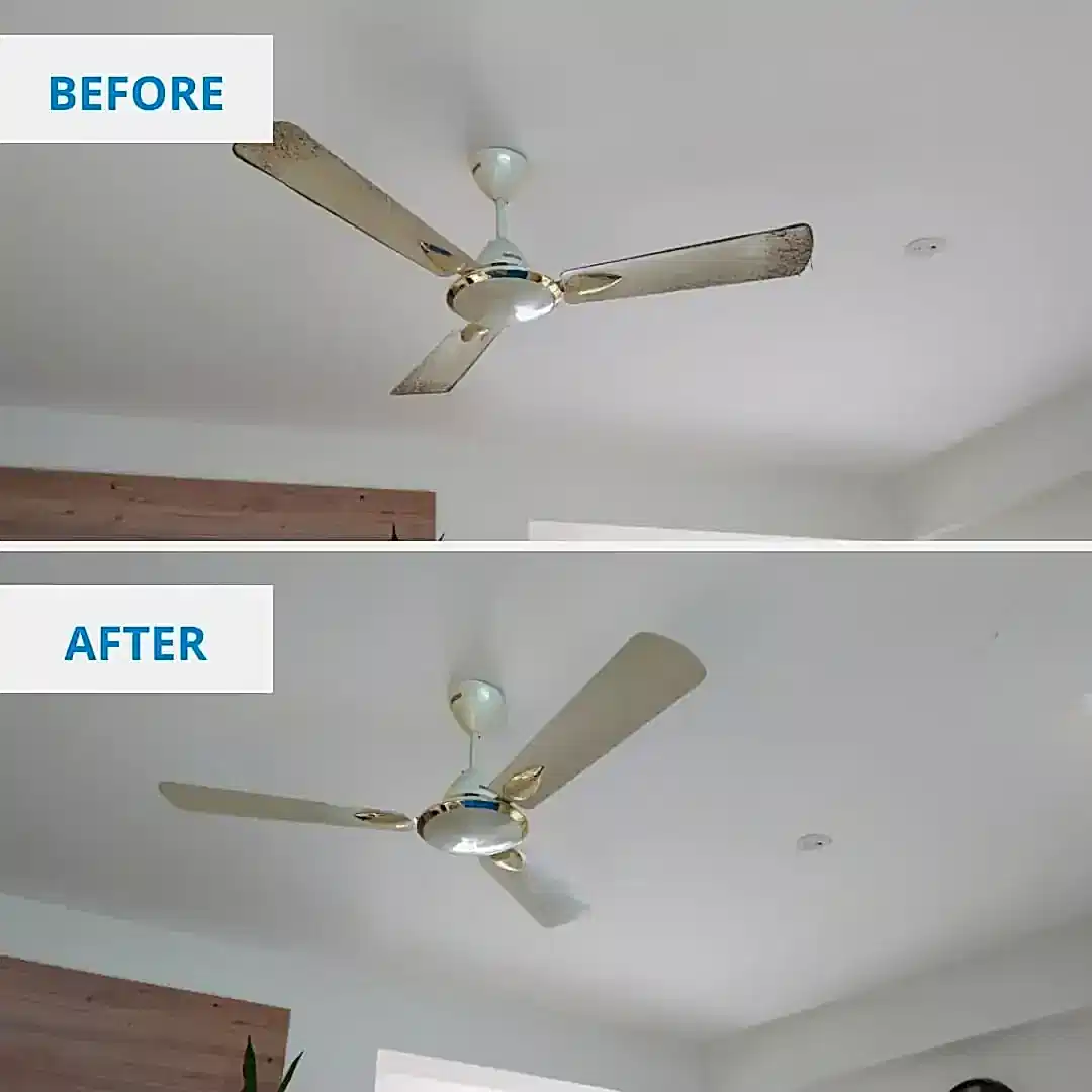 Clean Fanatics - Book Professional Cleaning Services Bangalore Professional Cleaning Services Cleaning Service done by Clean Fanatics