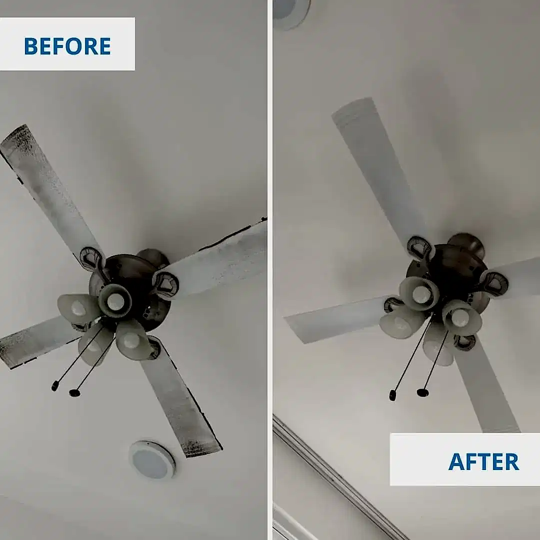 Clean Fanatics - Book Professional Cleaning Services Bangalore Professional Cleaning Services Ceiling fan cleaning before and after by Clean Fanatics